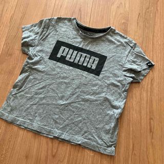 プーマ(PUMA)のTシャツ　120サイズ　プーマ(Tシャツ/カットソー)