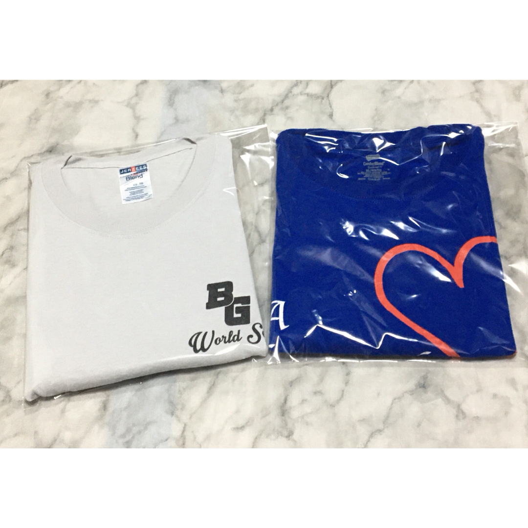 【レア】USL size VINTAGE Tシャツ 10枚セット 超特価！