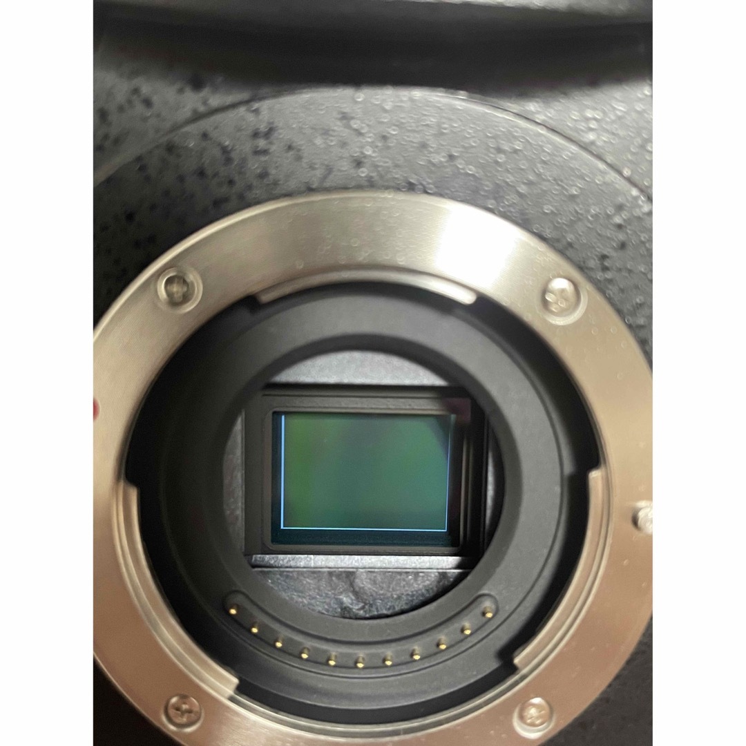Panasonic(パナソニック)のPanasonic GH5 美品 スマホ/家電/カメラのカメラ(ミラーレス一眼)の商品写真