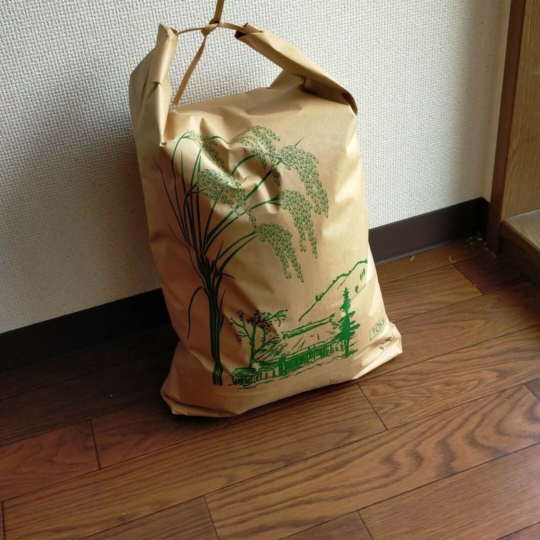 【令和5年】朝日米5kg 食品/飲料/酒の食品(米/穀物)の商品写真