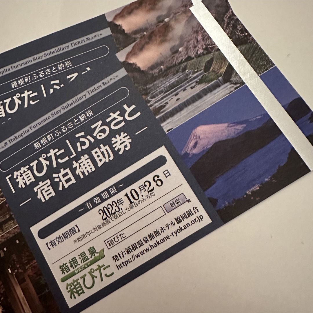 2枚のみ 箱ぴた ふるさと宿泊補助券 本物品質の - promo-e.si