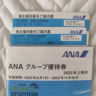 エーエヌエー(ゼンニッポンクウユ)(ANA(全日本空輸))の【匿名配送】ANA 株主優待券2枚　冊子付き(その他)