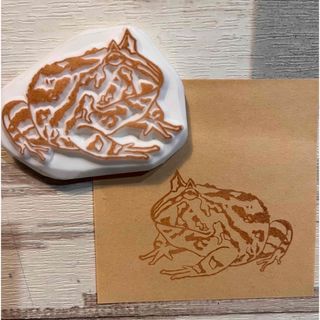 【消しごむはんこ】ベルツノガエルさん　はんこ(はんこ)