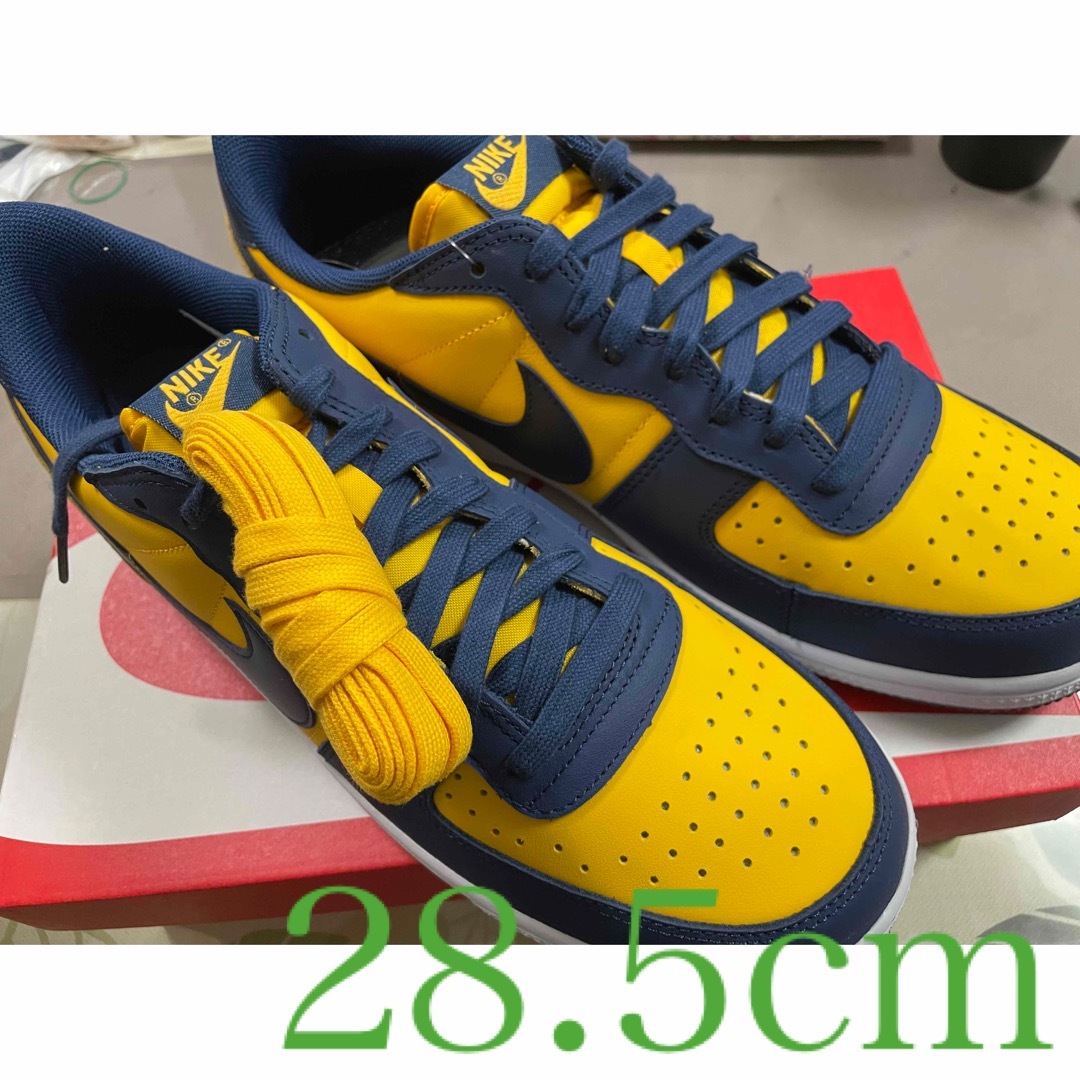 未使用品 NIKE TARMINATOR LOW OG MICHIGAN