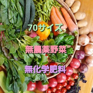 無農薬野菜　70サイズ　常温発送(野菜)