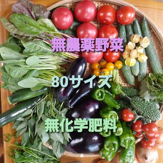 無農薬野菜　80サイズ　常温発送(野菜)