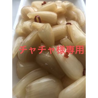 チャチャ様専用(漬物)