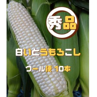 秀品ホワイトとうもろこし 10本(野菜)