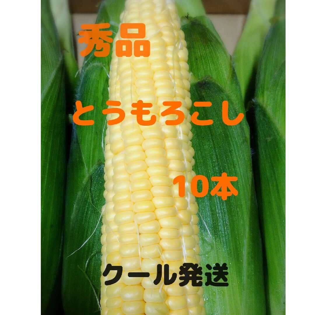 秀品 黄色とうもろこし 10本 食品/飲料/酒の食品(野菜)の商品写真