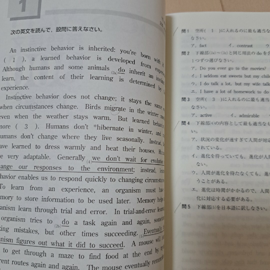 やっておきたい英語長文300 - 語学・辞書・学習参考書