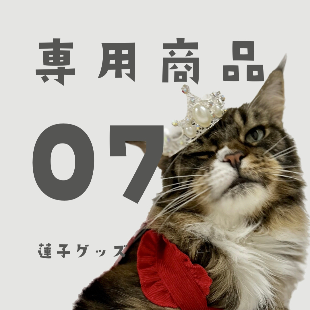 蓮子グッズ07 RIさん エンタメ/ホビーのタレントグッズ(アイドルグッズ)の商品写真