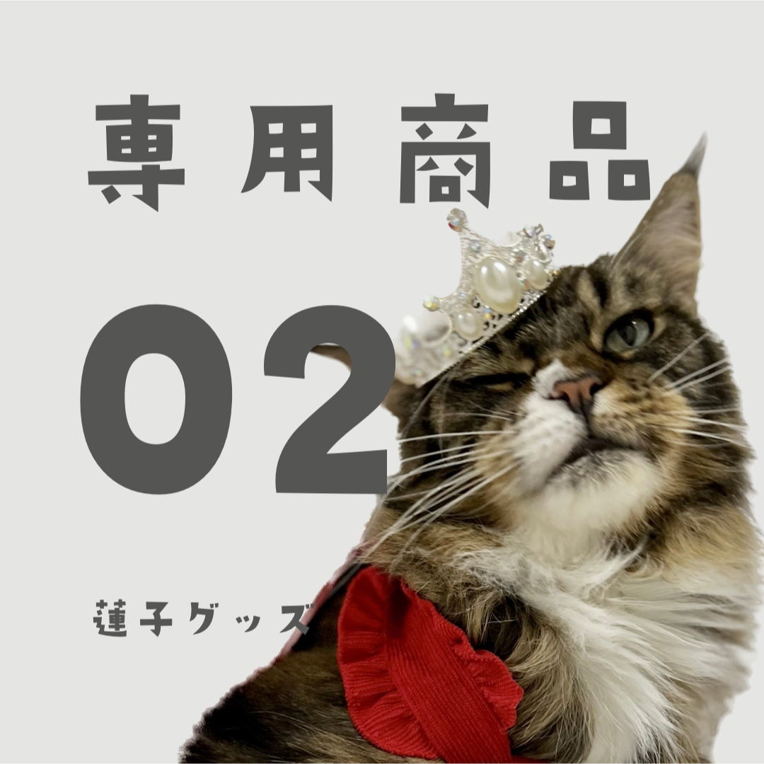 蓮子グッズ02 MIさん その他のその他(その他)の商品写真
