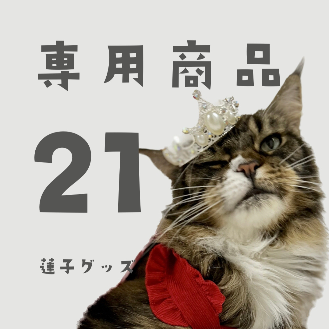 蓮子グッズ20 TAさん エンタメ/ホビーのタレントグッズ(アイドルグッズ)の商品写真