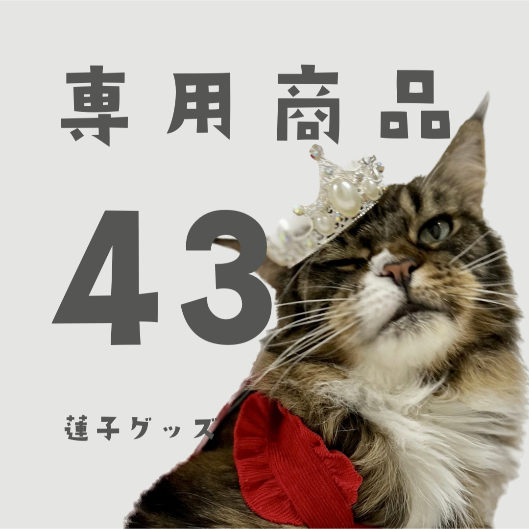 蓮子グッズ43 NEさん エンタメ/ホビーのタレントグッズ(アイドルグッズ)の商品写真