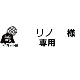 【リノ様専用ページ】4張りセット(その他)