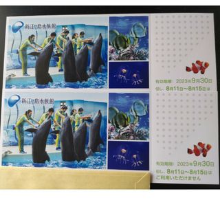 新江ノ島水族館入場招待券２枚(水族館)