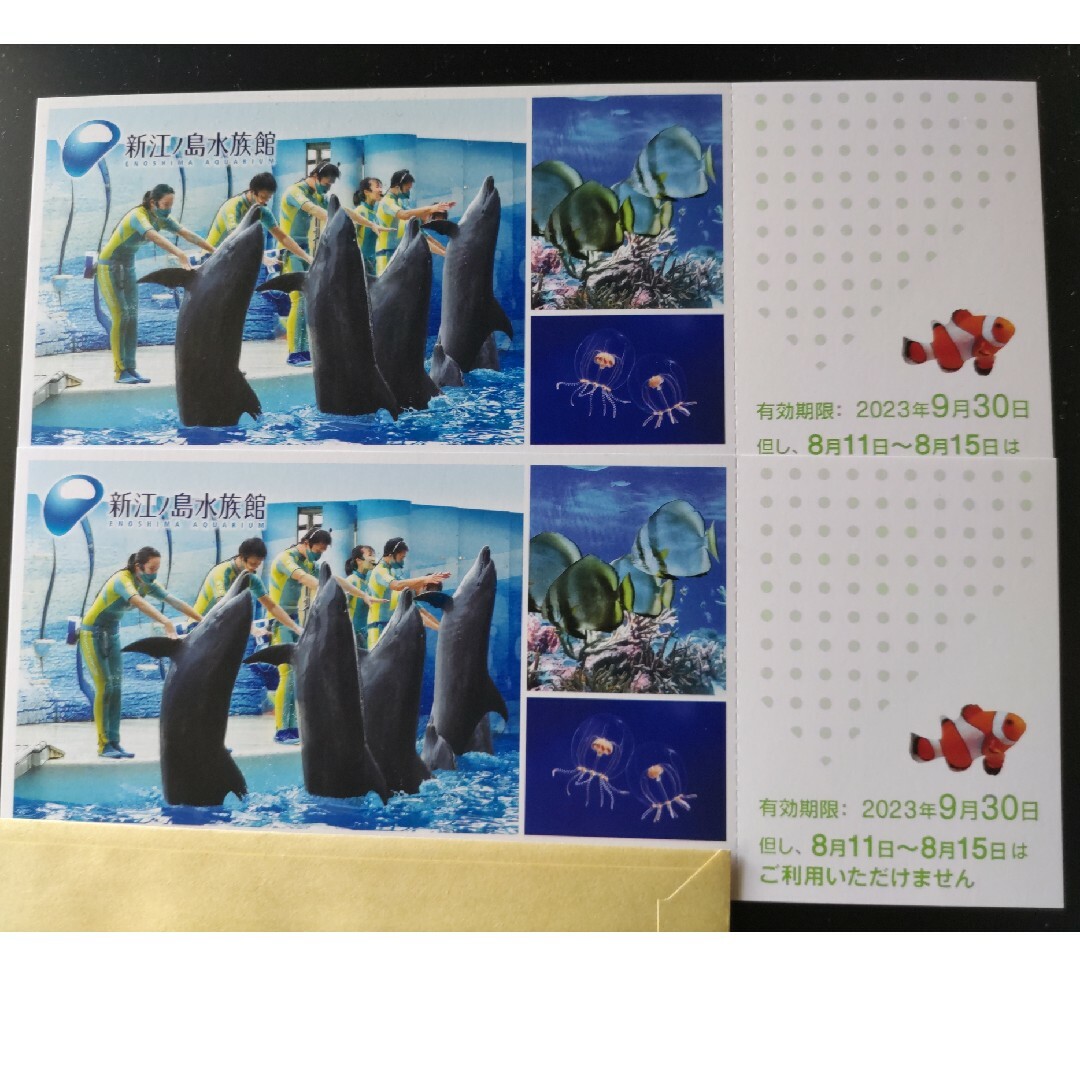新江ノ島水族館　入場招待券２枚 チケットの施設利用券(水族館)の商品写真