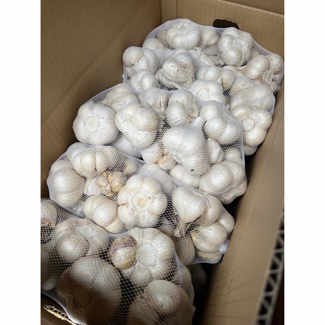 令和5年青森県産 乾燥にんにく 福地ホワイト六片 L 10kg食品 - 野菜