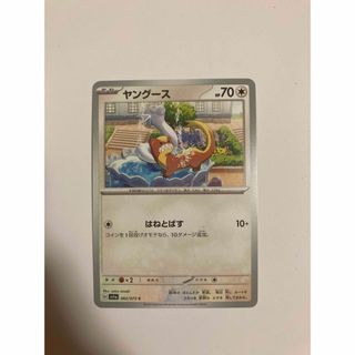 ポケモンカード　ヤングース(その他)