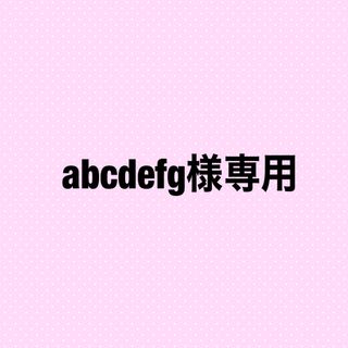 abcdefg様専用(その他)