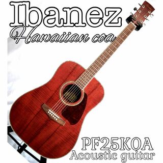 Ibanez - IBANEZの希少オールローズウッドのアコギV550RNTです。の通販 