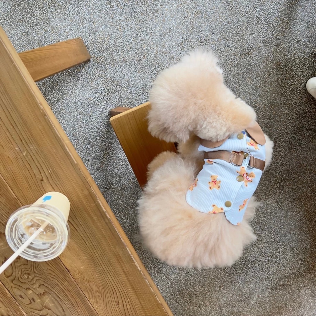 犬服　ペット服　ドッグウェア　可愛い　オシャレ　ハーネス　トップス　犬用品 その他のペット用品(犬)の商品写真