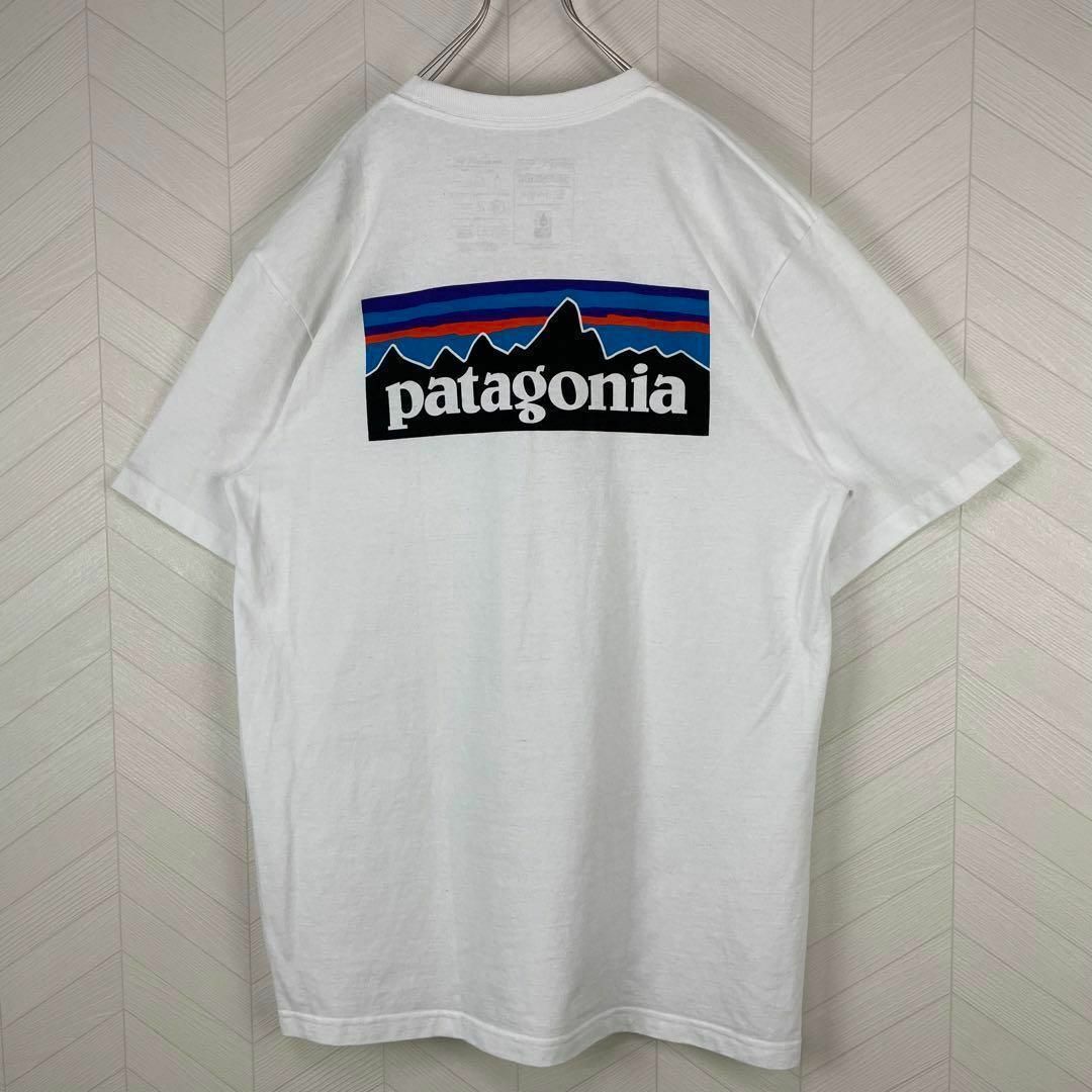 美品 激レア パタゴニア Tシャツ バックプリント ポケT メンズ 完売品 白