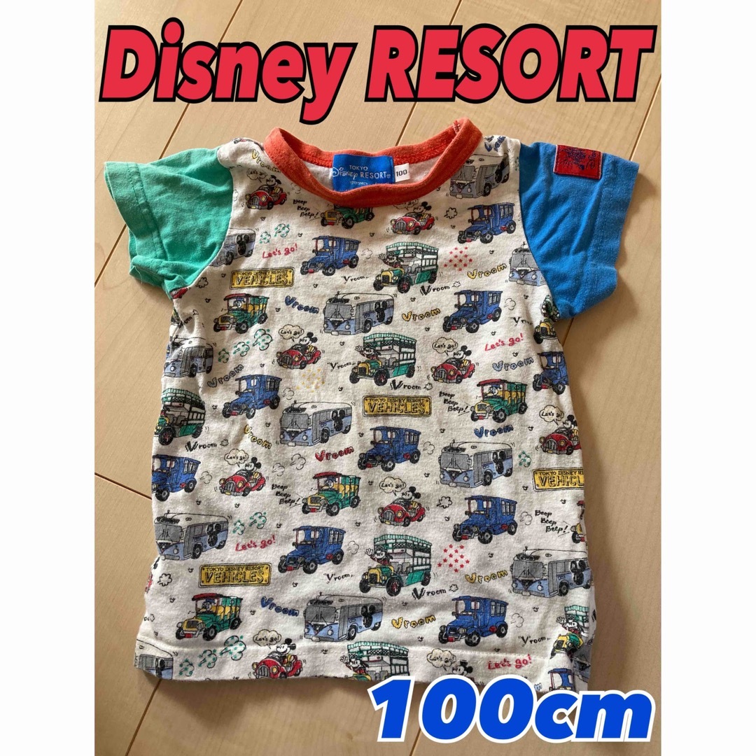 Disney(ディズニー)のディズニーリゾート　Ｔシャツ　100cm キッズ/ベビー/マタニティのキッズ服男の子用(90cm~)(Tシャツ/カットソー)の商品写真