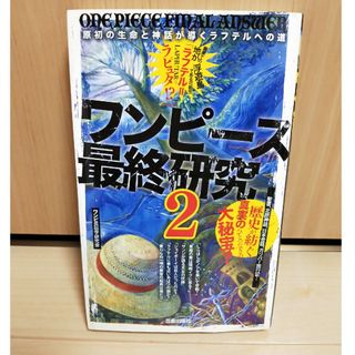 ワンピース(ONE PIECE)のワンピース　最終研究2(アート/エンタメ)