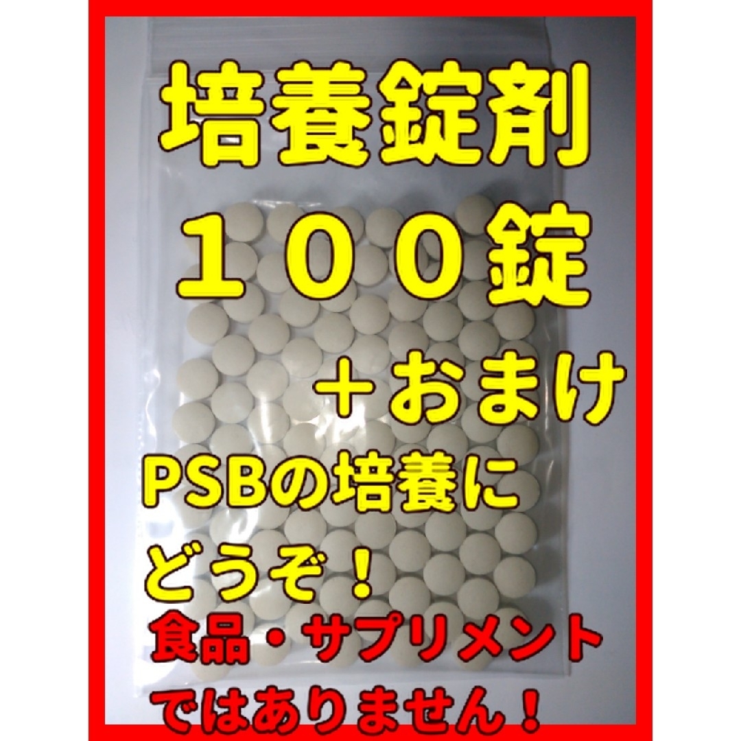 エビオス　１００錠➕α　検索　#エビオス　#ゾウリムシ　#種水　#PSB その他のペット用品(アクアリウム)の商品写真