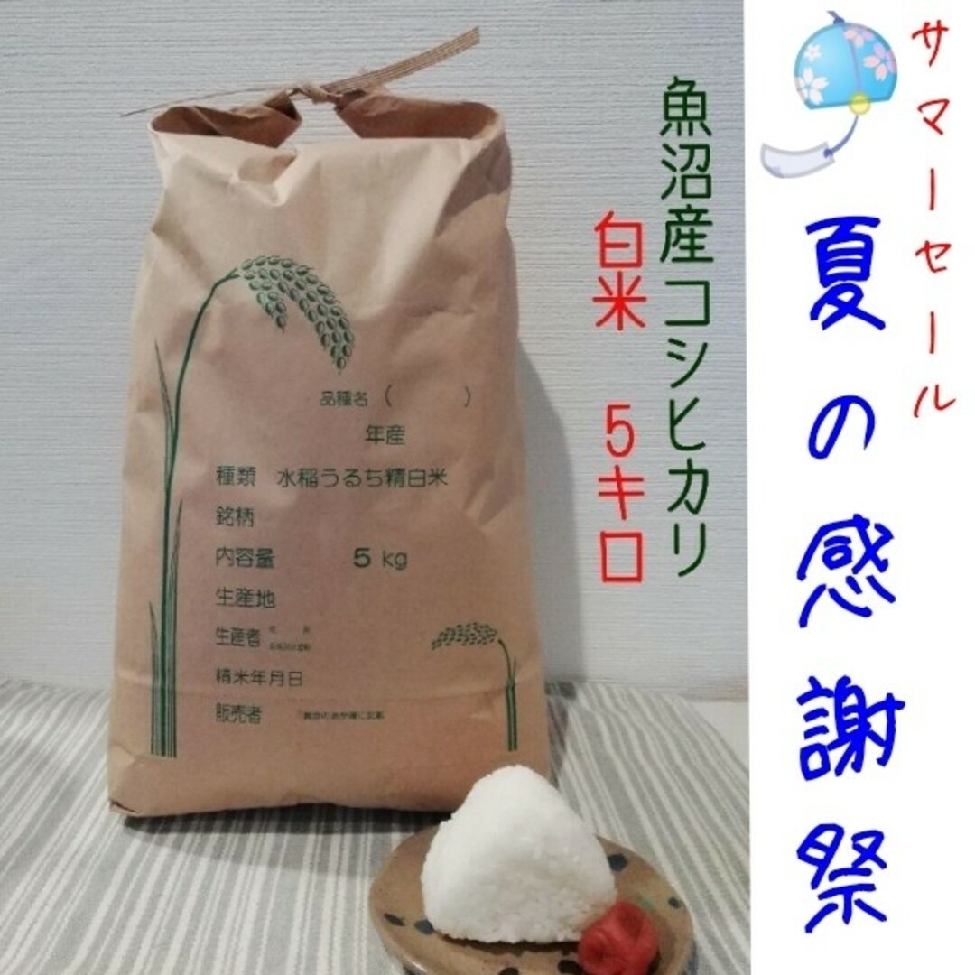 令和4年魚沼産コシヒカリ白米　合計15kg　お米5kg×3　米/穀物