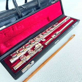 ソフトケースの通販 200点以上(楽器) | お得な新品・中古・未使用品