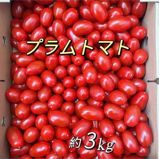 プラムトマト　3kg    赤色(フルーツ)