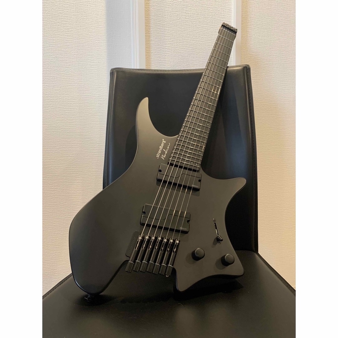 Ibanez(アイバニーズ)の美品 Strandberg Borden Metal 7 (廃盤モデル)  楽器のギター(エレキギター)の商品写真