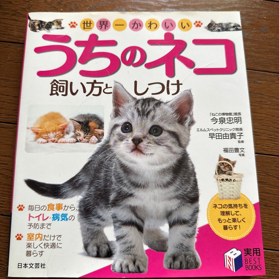 世界一かわいいうちのネコ飼い方としつけ エンタメ/ホビーの本(住まい/暮らし/子育て)の商品写真