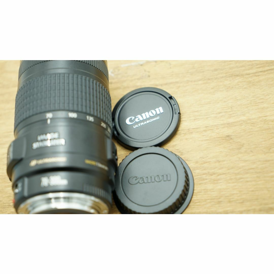 8351 良品 Canon EF 70-300mm 4-5.6 IS USM | www.familyontour.de