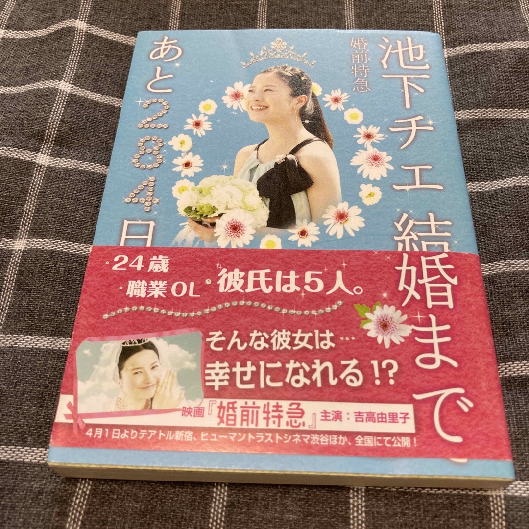 池下チエ結婚まであと２８４日 婚前特急 エンタメ/ホビーの本(その他)の商品写真