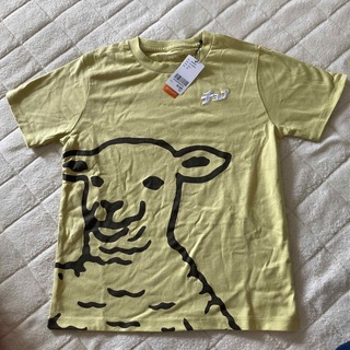 グラニフ(Design Tshirts Store graniph)のgraniph  Ｔシャツ　ラムチョップ(Tシャツ/カットソー)