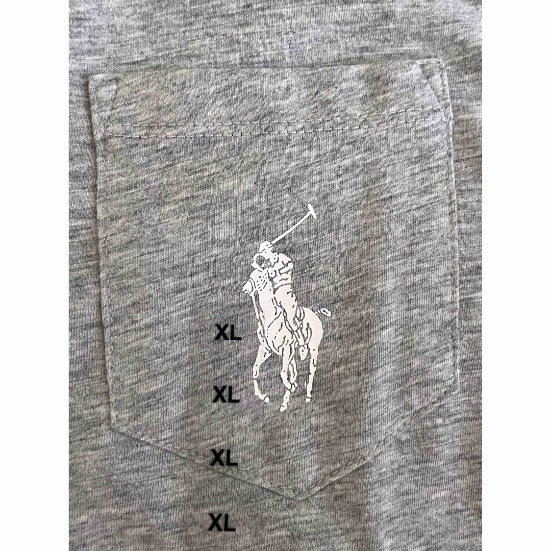 POLO RALPH LAUREN(ポロラルフローレン)のPOLO ラルフローレン　Tシャツ　大きめサイズ　米国購入　新品 レディースのトップス(Tシャツ(半袖/袖なし))の商品写真