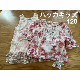 ハッカキッズ ブラウスとミキハウス Tシャツセット