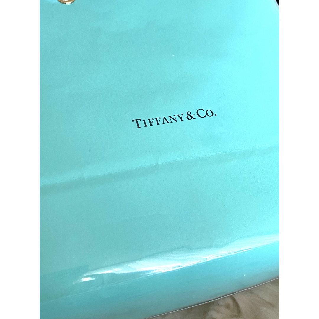 Tiffany & Co.(ティファニー)の何度も使えるブランドショッパー紙袋★ティファニービニール張り レディースのバッグ(ショップ袋)の商品写真