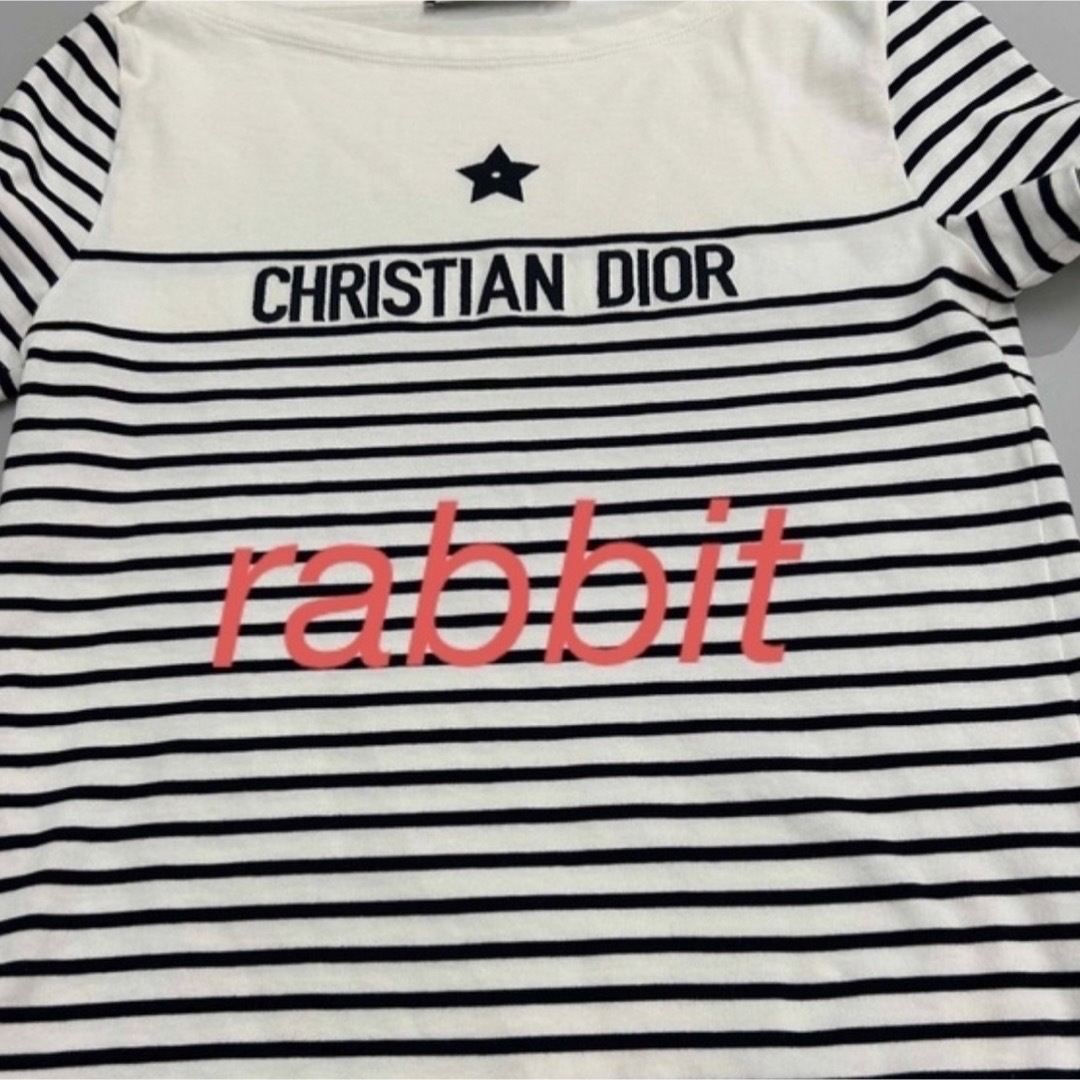 Dior(ディオール)のDIOR シャツ　今季新作💐💐rosa様💐 レディースのトップス(カットソー(半袖/袖なし))の商品写真