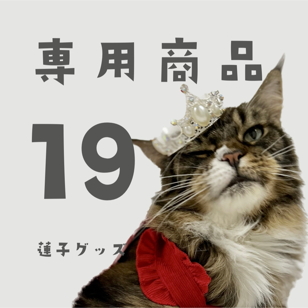蓮子グッズ19 AYさん エンタメ/ホビーのタレントグッズ(アイドルグッズ)の商品写真