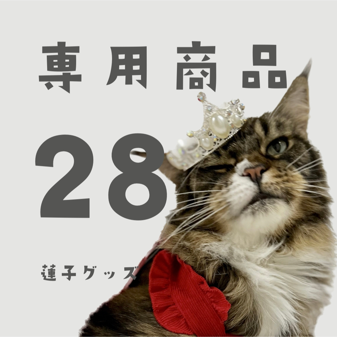 蓮子グッズ28 MAさん その他のその他(その他)の商品写真