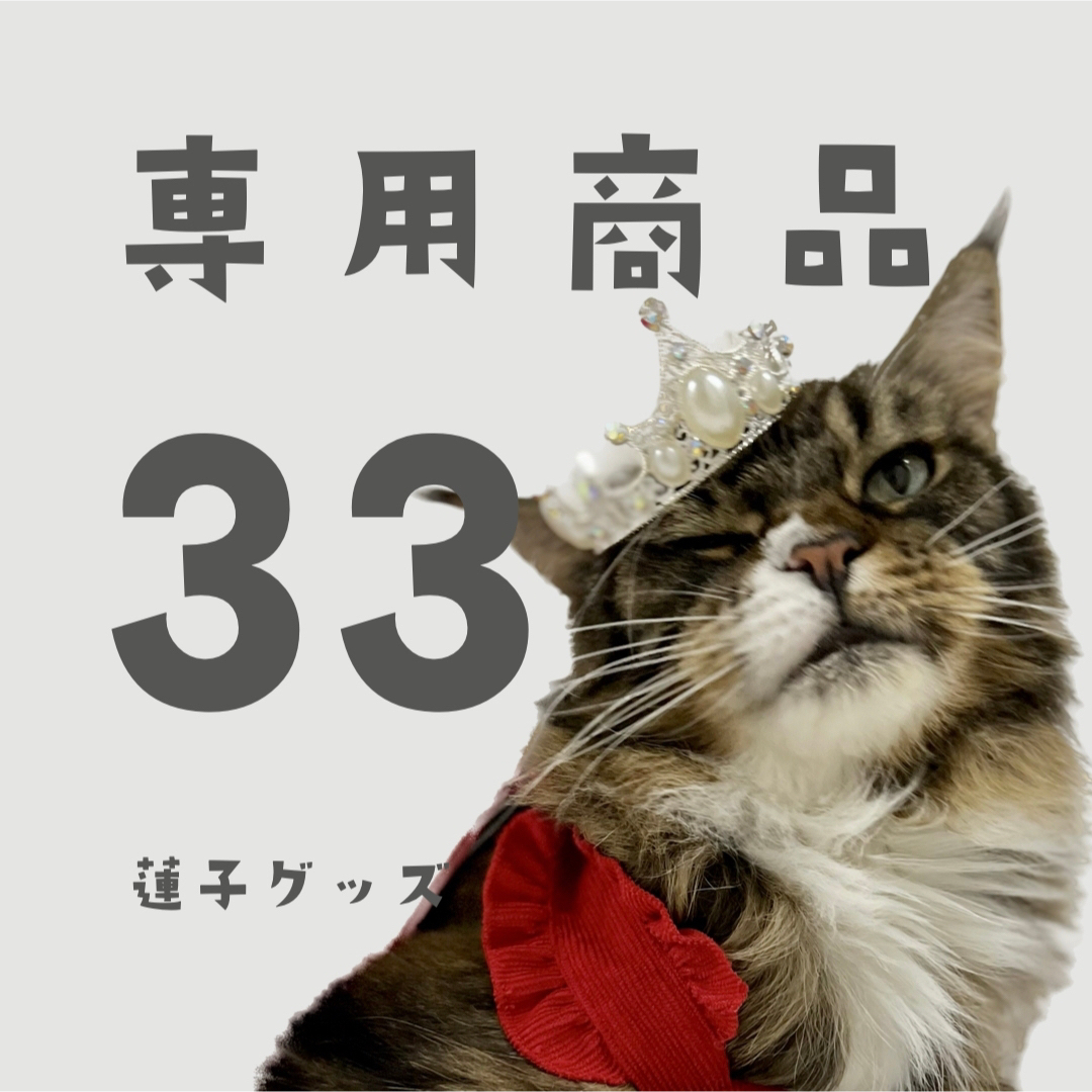 蓮子グッズ33 KPさん エンタメ/ホビーのタレントグッズ(アイドルグッズ)の商品写真