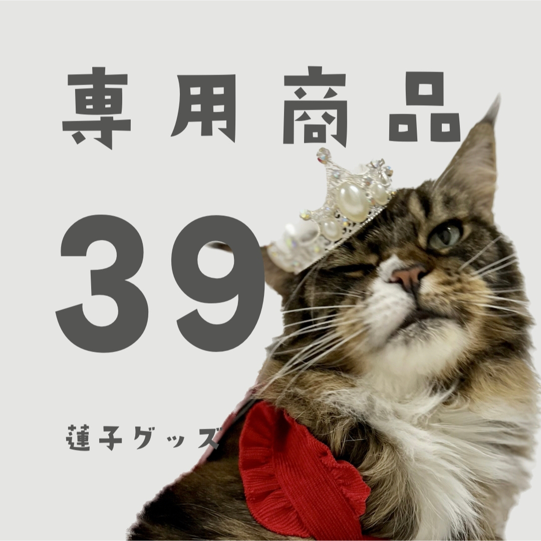 蓮子グッズ39 TOさん エンタメ/ホビーのタレントグッズ(アイドルグッズ)の商品写真