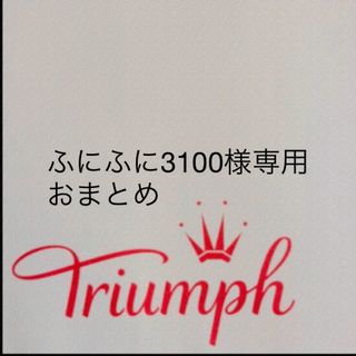 トリンプ(Triumph)の【新品タグ付】 トリンプ／チャーミングラマーブラ・E65（定価¥5,150）(ブラ)