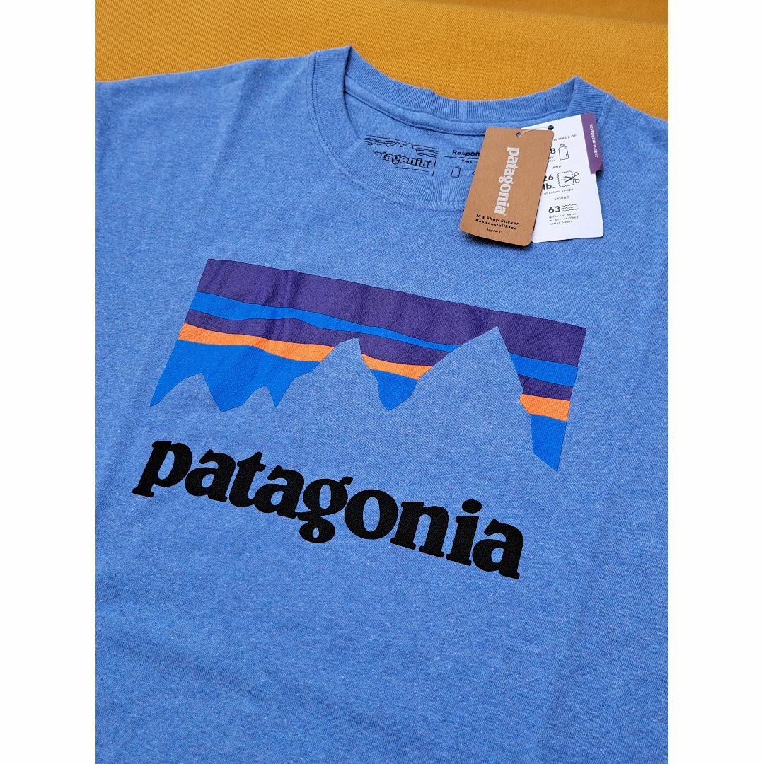 patagonia(パタゴニア)のパタゴニア SS Responsibili-Tee XS RBE 2018 メンズのトップス(Tシャツ/カットソー(半袖/袖なし))の商品写真