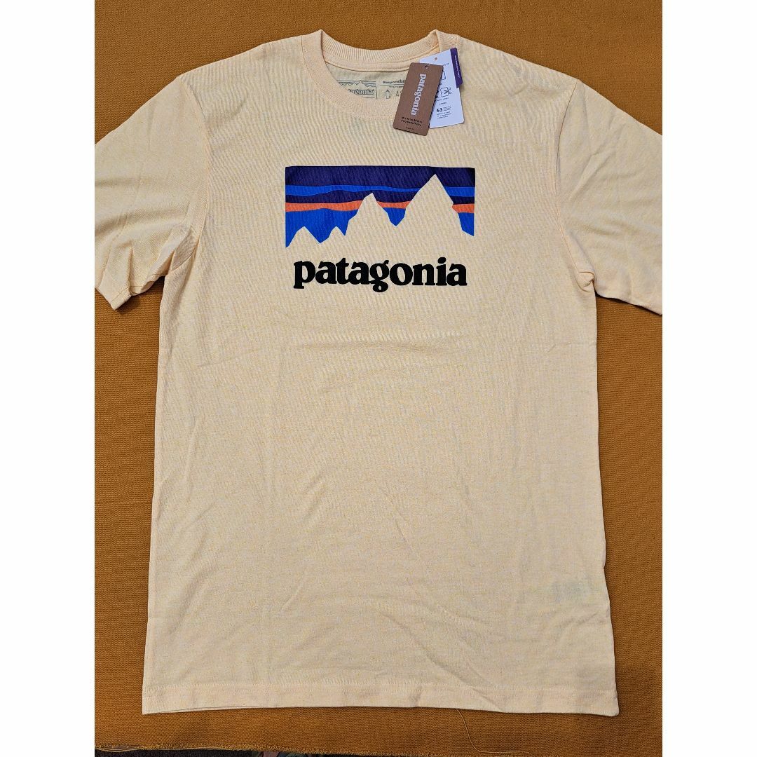 patagonia(パタゴニア)のパタゴニア SS Responsibili-Tee XS CSTY 2018 メンズのトップス(Tシャツ/カットソー(半袖/袖なし))の商品写真