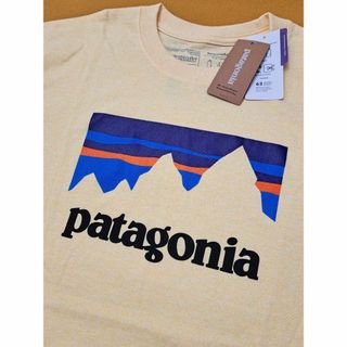 パタゴニア(patagonia)のパタゴニア SS Responsibili-Tee XS CSTY 2018(Tシャツ/カットソー(半袖/袖なし))